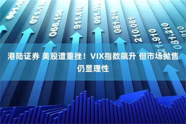 港陆证券 美股遭重挫！VIX指数飙升 但市场抛售仍显理性