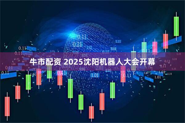 牛市配资 2025沈阳机器人大会开幕