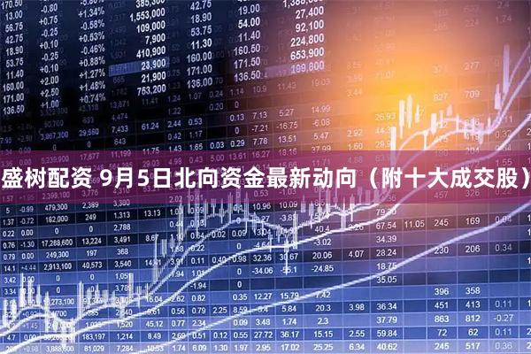 盛树配资 9月5日北向资金最新动向（附十大成交股）