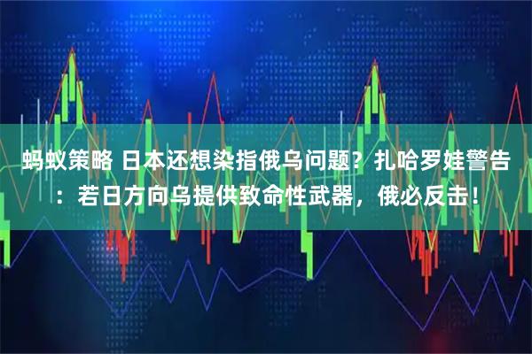 蚂蚁策略 日本还想染指俄乌问题？扎哈罗娃警告：若日方向乌提供致命性武器，俄必反击！